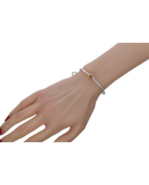 Charms srebrno bursztynowy...