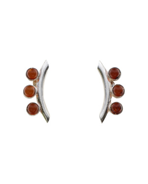 Kolczyki srebrno bursztynowe